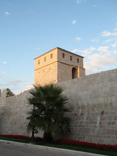 Mansion's walls and tower